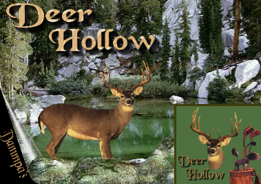 Deer Hollow